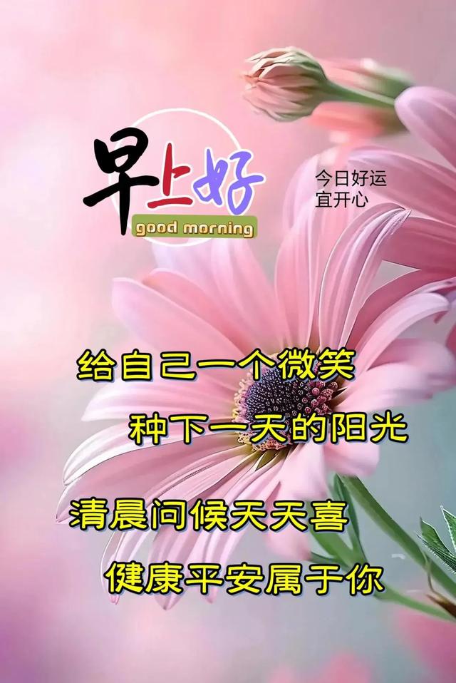 早安美图~每日问候情意长 友谊绵绵不能忘