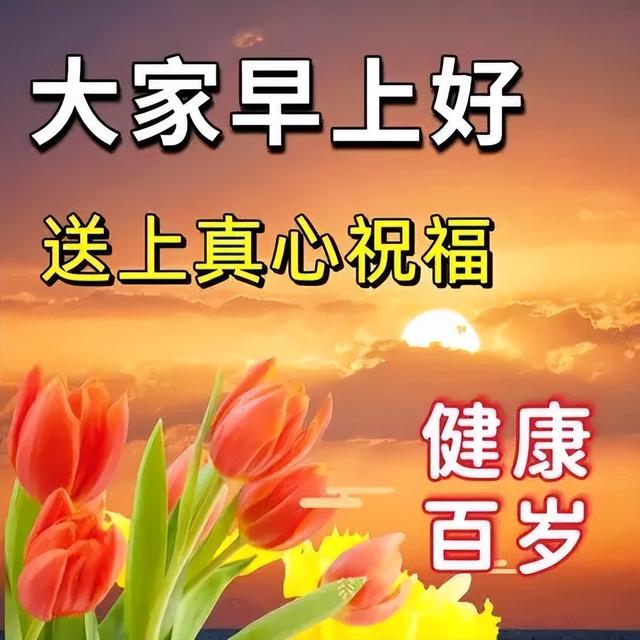 早安美图~每日问候情意长 友谊绵绵不能忘
