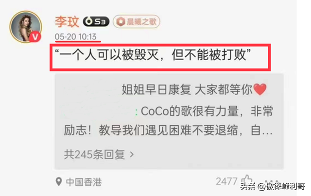 Coco李玟——童话的最后一章,为情所困木兰李