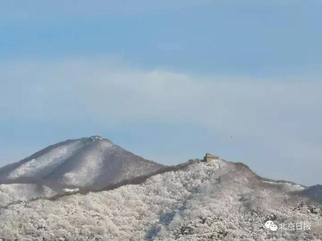 海淀惊现“金光大道”!美到爆!