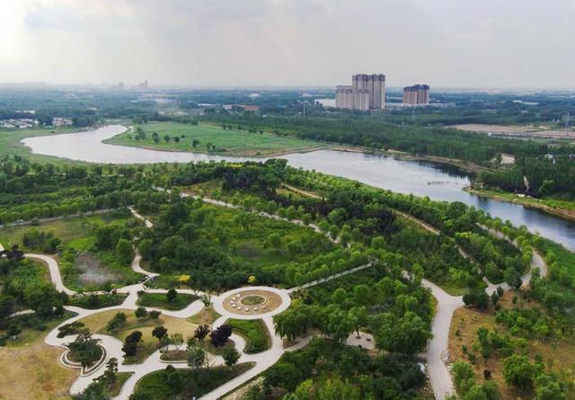 水草丰茂鸥鹭飞,风韵如梦里水乡!夏日济南湿地景色美