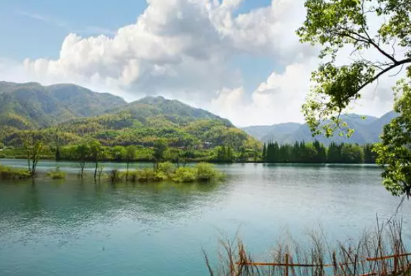 又增加一个!浙江这些国家级湿地公园美翻了