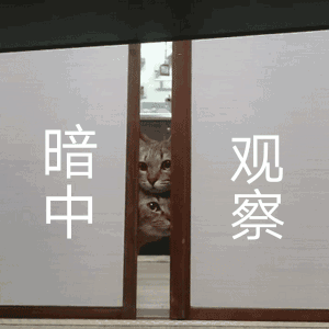 当窗户玻璃上出现一张脸,最怕空气突然安静