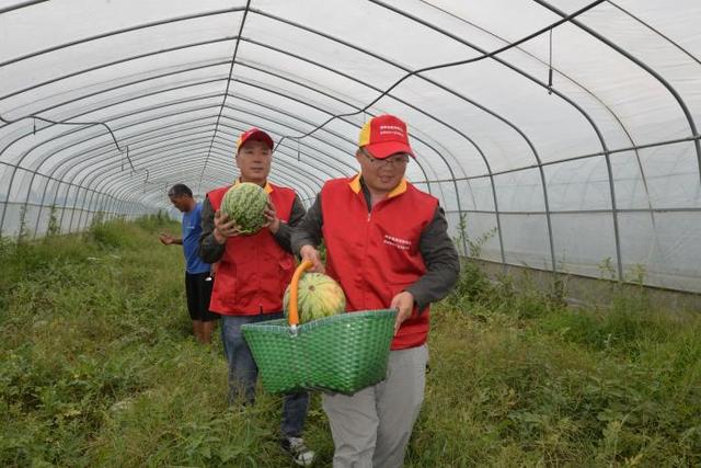 驻村更“驻心” 实干促振兴——访尉氏县邢庄乡甄家村驻村第一书记刘永涛
