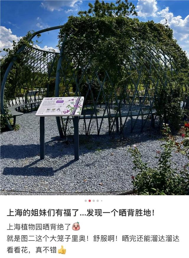 上海多家公园出现“辣眼睛”一幕:不论男女都在撩衣晒背?园方成了“三夹板”……