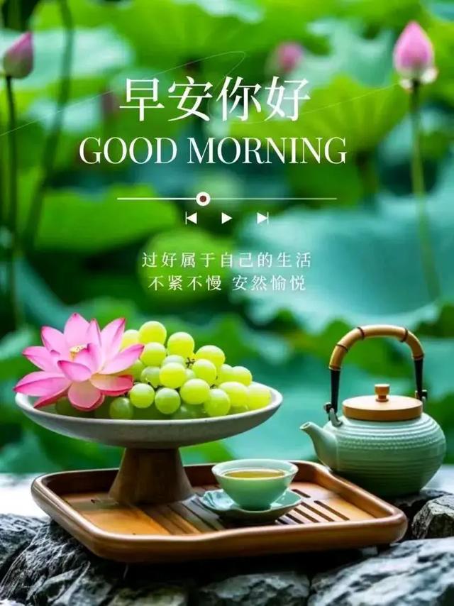 早安美图~每日问候情意长 友谊绵绵不能忘