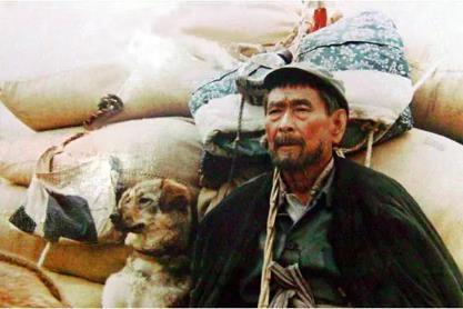 我的观影史：从文艺小清新变成重口味