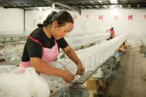 竹林乡(杞县竹林乡的“半边天”顶起了乡村振兴的“半边天”)