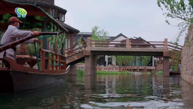 微度假in青浦丨听，徐泾水乐蟠龙音乐季！