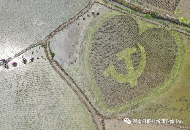 新湖南影像榜「201905」:激情五月