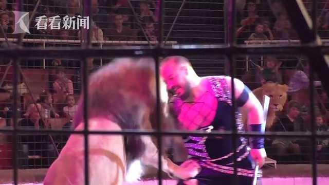 驯兽师遭雄狮扑咬 手臂连肩险断 带伤完成表演 辩称“它压力太大”