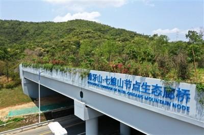 合川老农民:野猪进城,只能干看着?