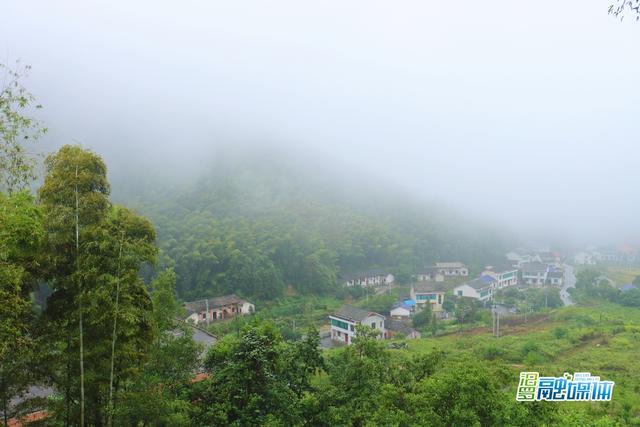 竹林深处有人家! 汨罗市川山坪镇新增一处旅游打卡地