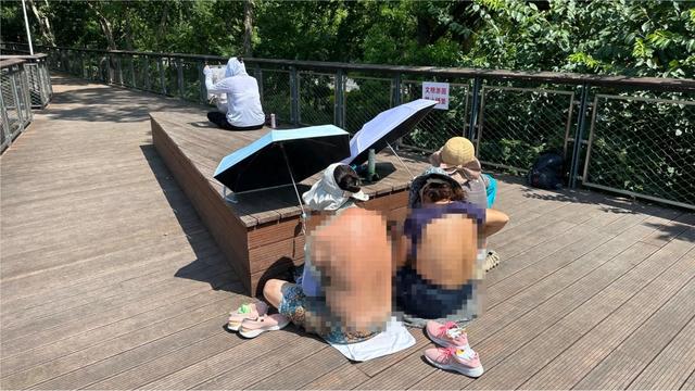 上海多家公园出现“辣眼睛”一幕:不论男女都在撩衣晒背?园方成了“三夹板”……