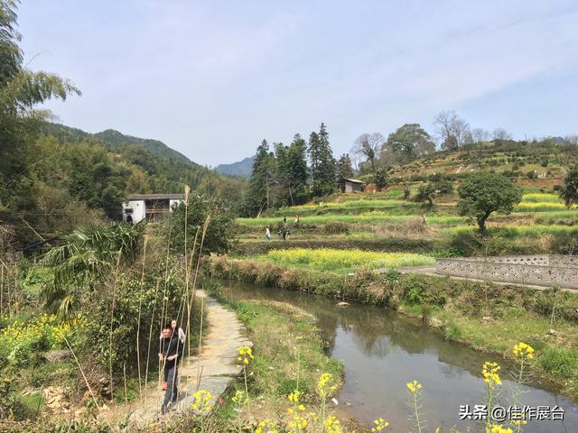 苦乐年华 丨 有笑,未必不是破碎心;有痛,何苦不做潇洒人
