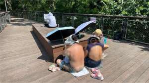 撩衣(上海多家公园出现“辣眼睛”一幕：不论男女都在撩衣晒背？园方成了“三夹板”……)