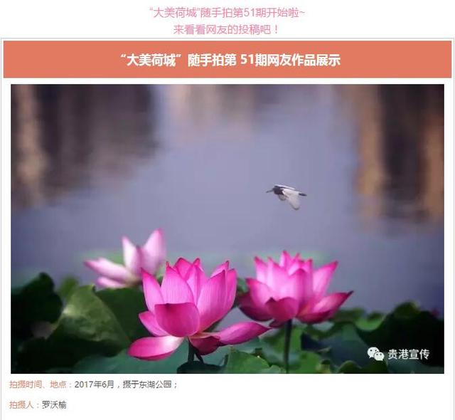 爽！贵港市体育中心部分场馆免费开放啦（附开放场馆及时间）