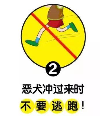 恶犬街头咬伤21人,最小的才3岁!记住这几点能保命