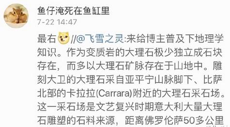 袁立发了一条关于米开朗基罗的微博，网友炸了！