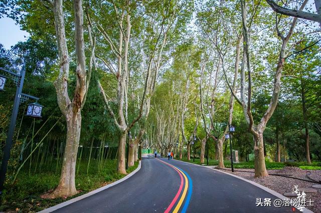 南京浦口凤凰山公园,这里有一座地标建筑,可以俯瞰城市绝美风光