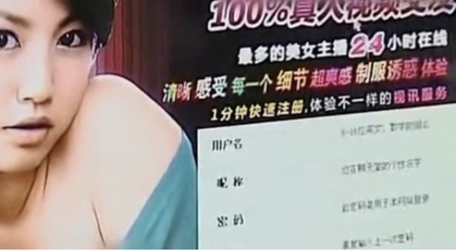 色情网站“丁香”覆灭记:7.3亿的浏览量背后,是谁在操控盈利