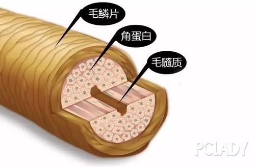 《想见你》男主许光汉新电影,女主发量惹人羡慕