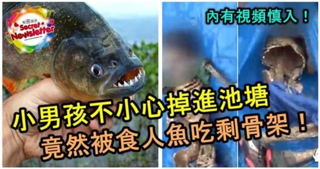 柳州公园惊现“食人鱼”!满口利齿模样吓人,物种入侵有多严重?