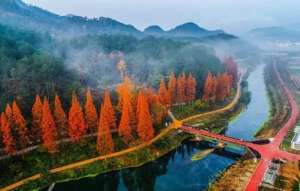 国家城市湿地公园(又增加一个浙江这些国家级湿地公园美翻了)