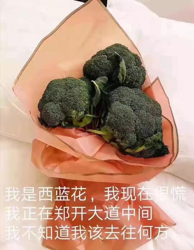 东北人已经累了,河南大学生却快乐得不行