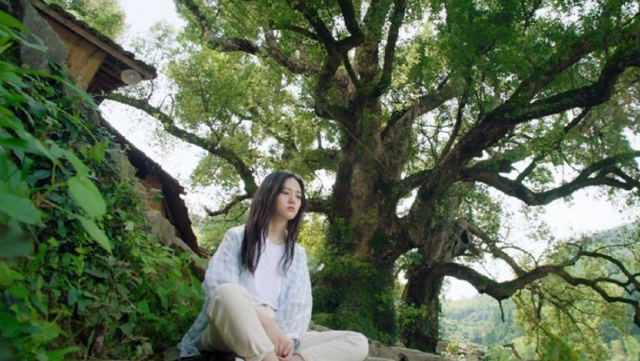 《一起同过窗》武雨泽未演路桥川,竟转行成导演,拍摄出黑马剧
