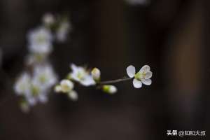 我这样的女人(我欣赏这样活着的女人)