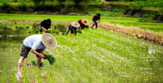 福建90岁老妇2月瘦成“活骷髅”,孙女出面替老人讨公道