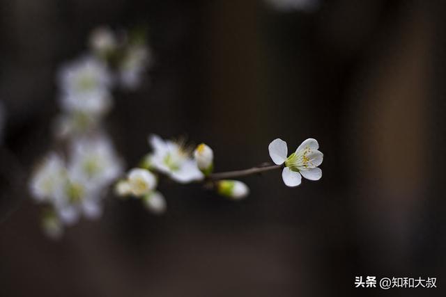 我欣赏这样活着的女人