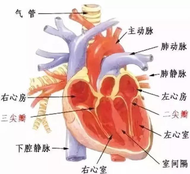 一知名演员突然去世!这病几分钟就可夺命