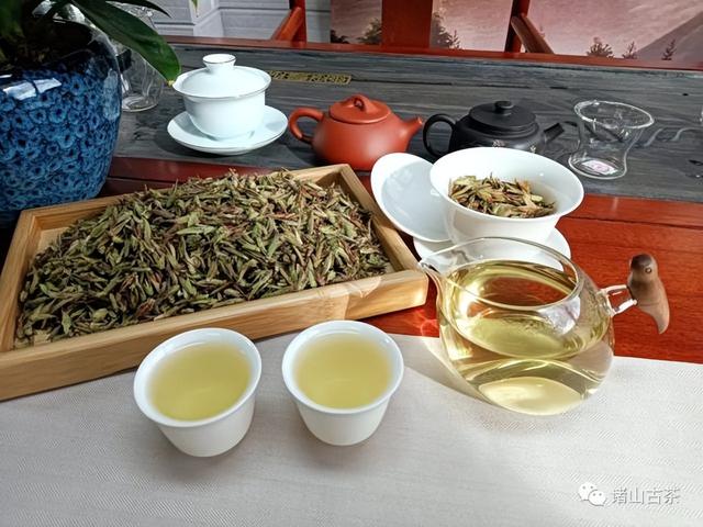 诸山古茶丨“春妖”?!品过才知什么是春日第一口“鲜”!