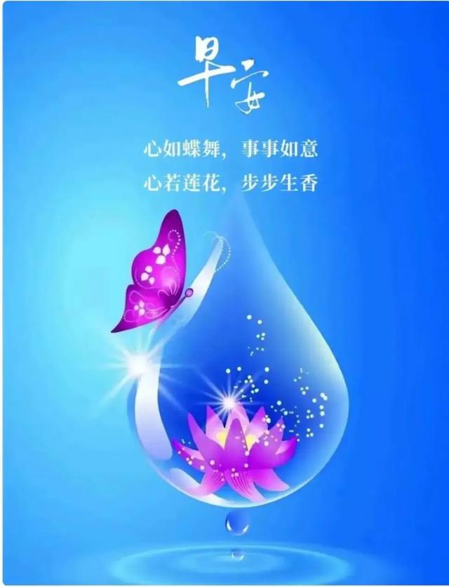 早安美图~每日问候情意长 友谊绵绵不能忘