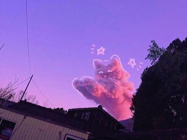 不管多大年龄都永远相信爱情的星座,被别人嘲笑,却勇往直前