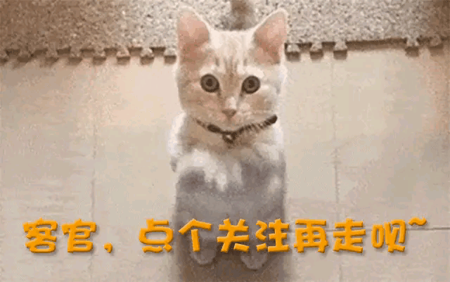事实证明,庾澄庆那“抛夫弃子”的前妻,嫁给秦昊后,面相都变了