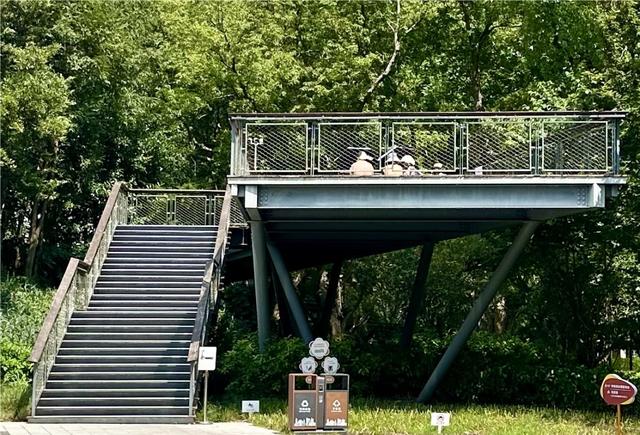 上海多家公园出现“辣眼睛”一幕:不论男女都在撩衣晒背?园方成了“三夹板”……
