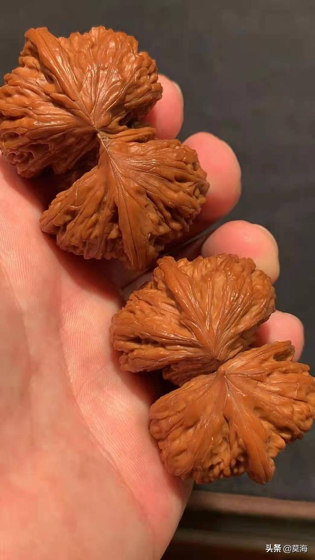 德云班主郭德纲的天价文玩核桃