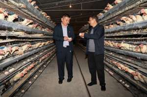 李安华(初心之路｜从企业老总到村官，他带家乡父老“二次创业”)