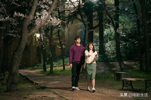 一集就有吻戏!6月颜值最高的韩剧,海王人设又渣又苏又带感