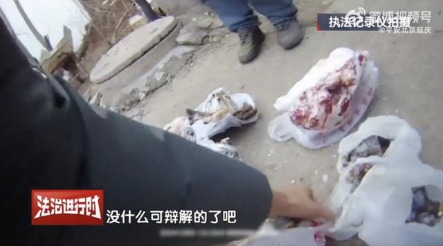 真缺那口肉?北京延庆警方:涉嫌非法狩猎,刑拘!