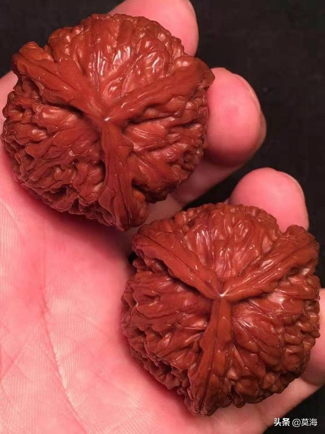 德云班主郭德纲的天价文玩核桃