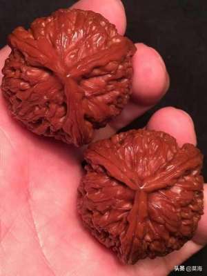 郭德纲120万的核桃图片(德云班主郭德纲的天价文玩核桃)