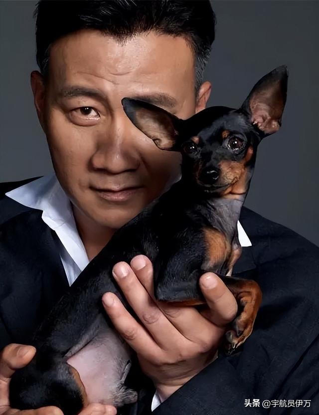 兜来转去,原来胡军的父母是他们夫妻俩!难怪能红遍大江南北