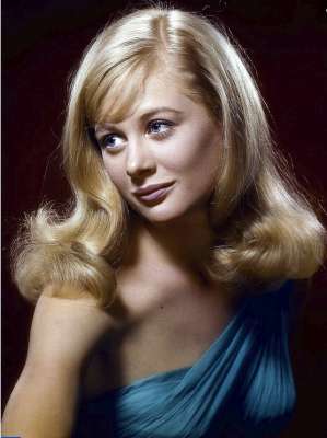 bree(《绝望主妇》演员雪莉·奈特去世，曾两度提名奥斯卡)