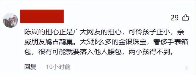 作家陈岚怒批小S鸠占鹊巢,担心大S家珠宝丢失,网友喊话汪小菲