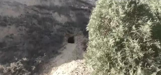 是谁?在陕西泾阳的山沟里挖了近5公里的地下暗道……