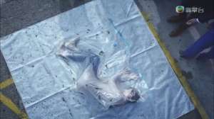 美女憋气(《法证先锋4》上演真空袋藏尸TVB女星大获好评：上场时还是会怕)